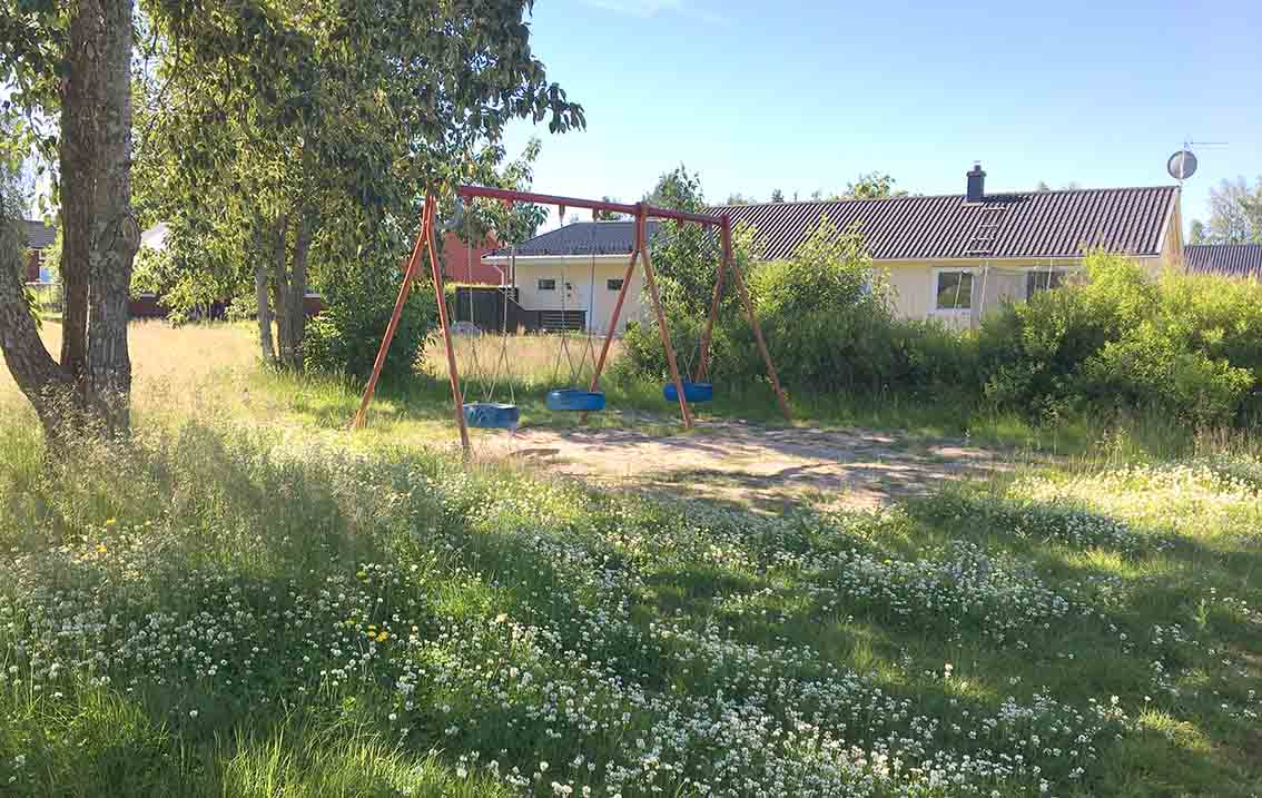 Gungställning med två gungor med sand under. Framför växer blommande klöver i gräsmattan. Buskar och träd bredvid.