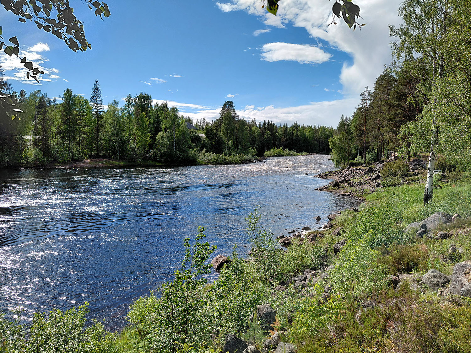 En grönskande sommardag i Niemisel.
