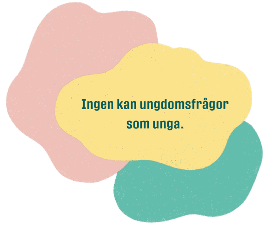 "Ingen kan ungdomsfrågor som unga."